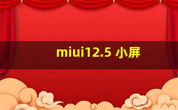 miui12.5 小屏